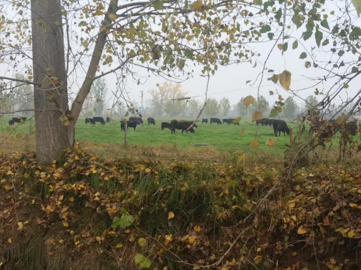 Agriturismo Cascina Pezzolo Lodi Dış mekan fotoğraf