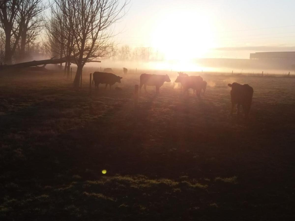 Agriturismo Cascina Pezzolo Lodi Dış mekan fotoğraf