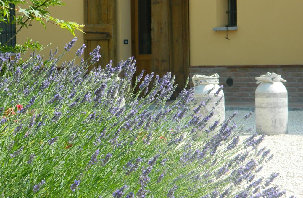 Agriturismo Cascina Pezzolo Lodi Dış mekan fotoğraf
